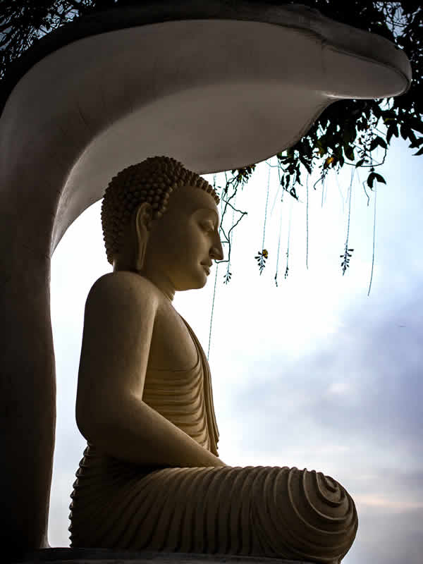 Buddha Kandy