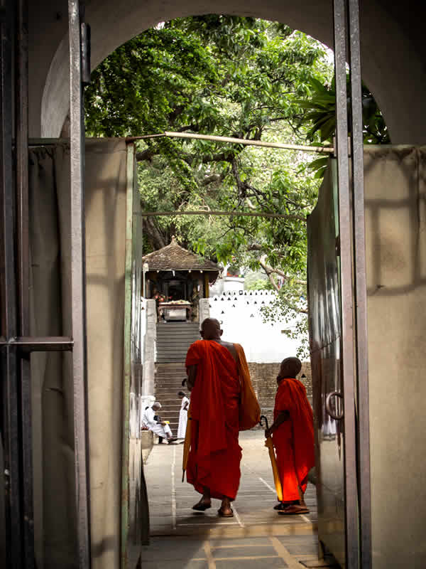 Kandy Monks