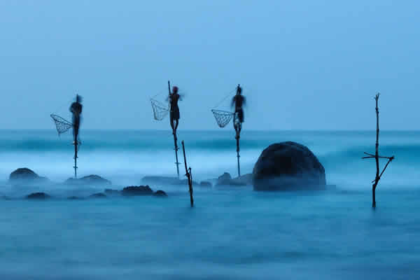 Weligama Stilt Fishing