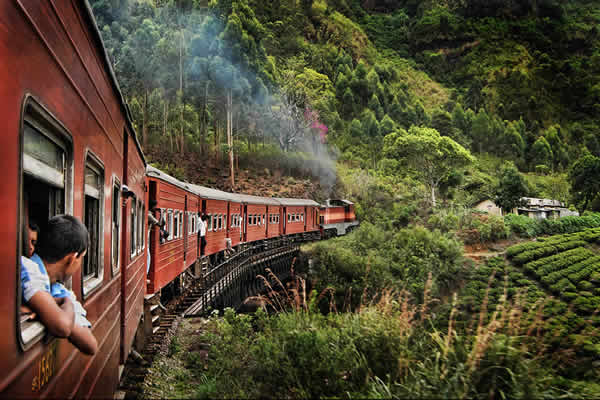 Sri Lanka Train Tour