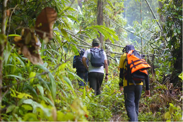 Sri Lanka rainforest trekking