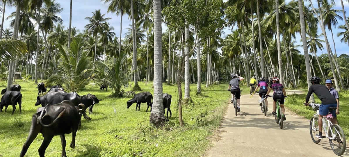 private Sri Lanka cycling holidays